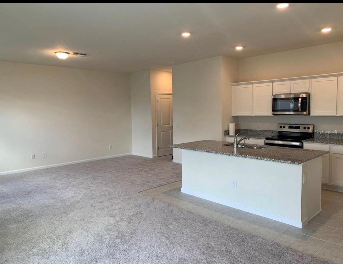 2257 Litchfield Loop, FL