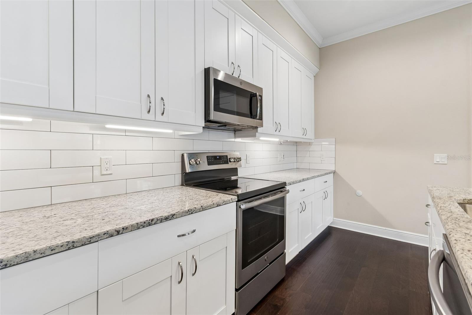 13047 Sanctuary Village Lane, FL