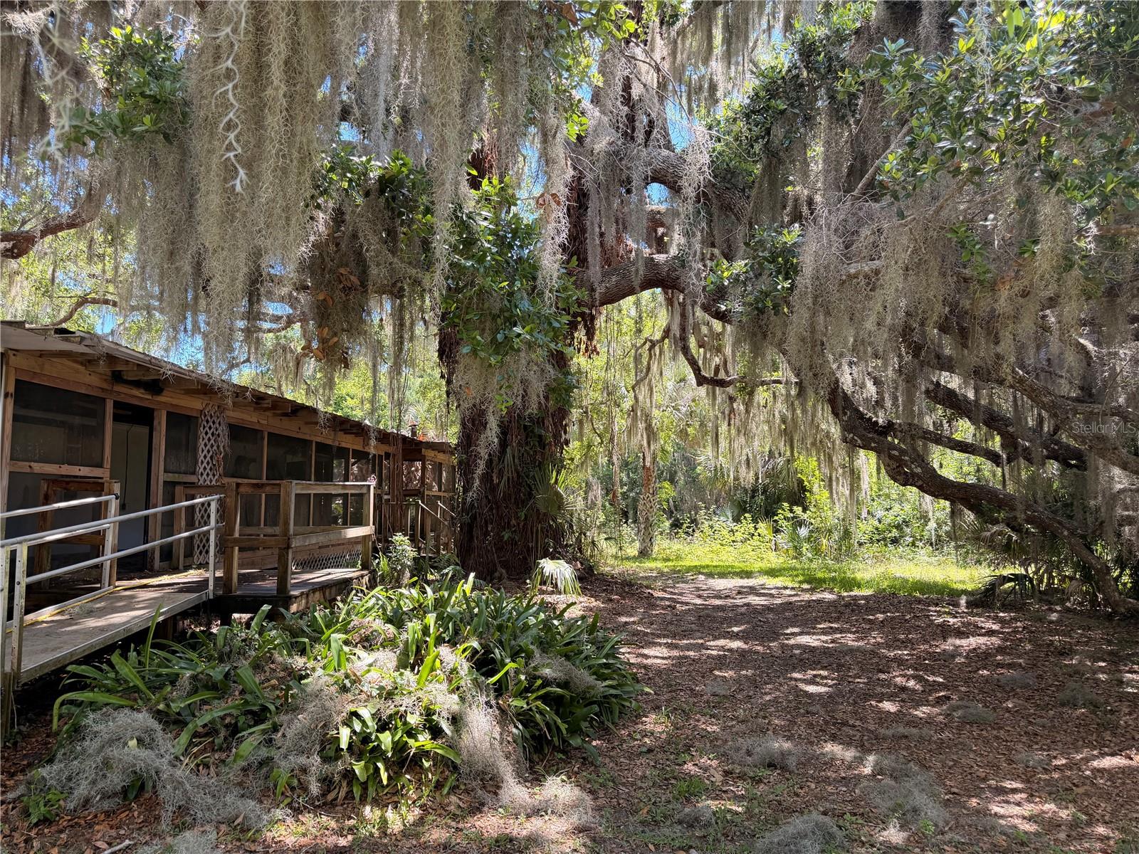 697 Eagle Watch Road, FL