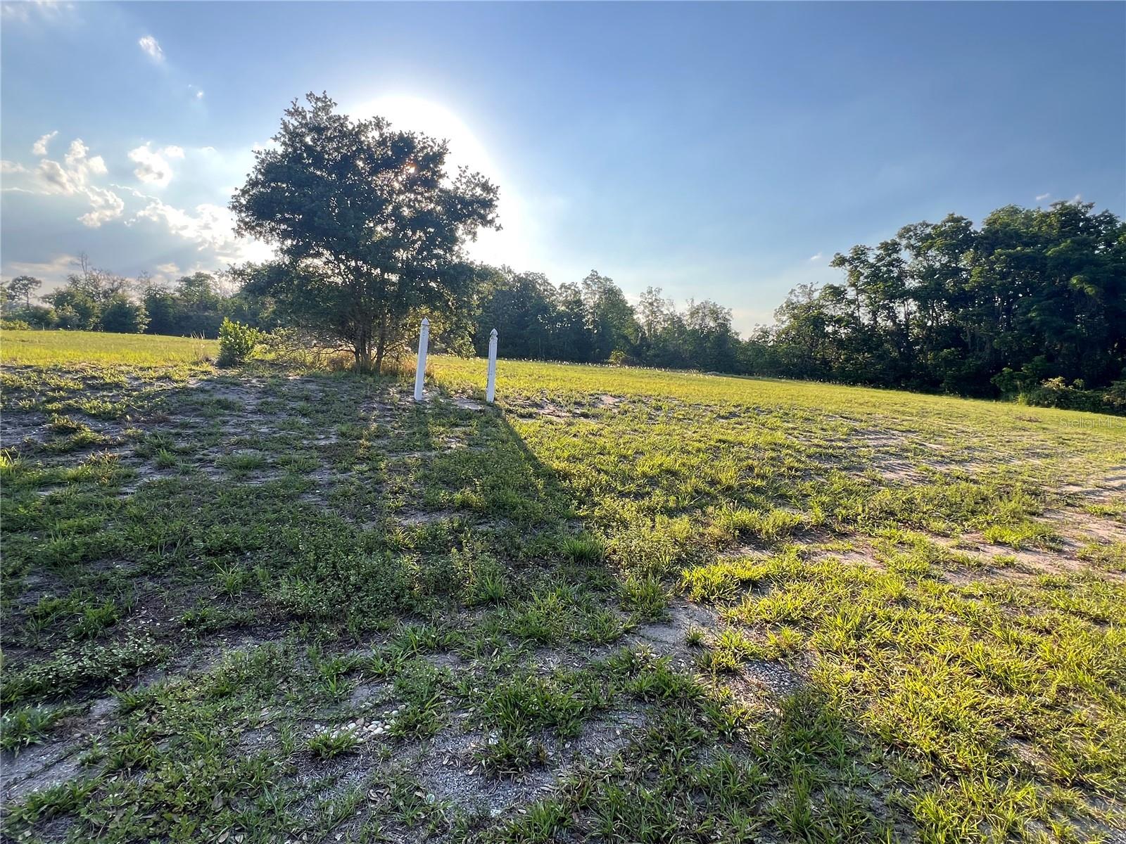 7513 George Boulevard, FL