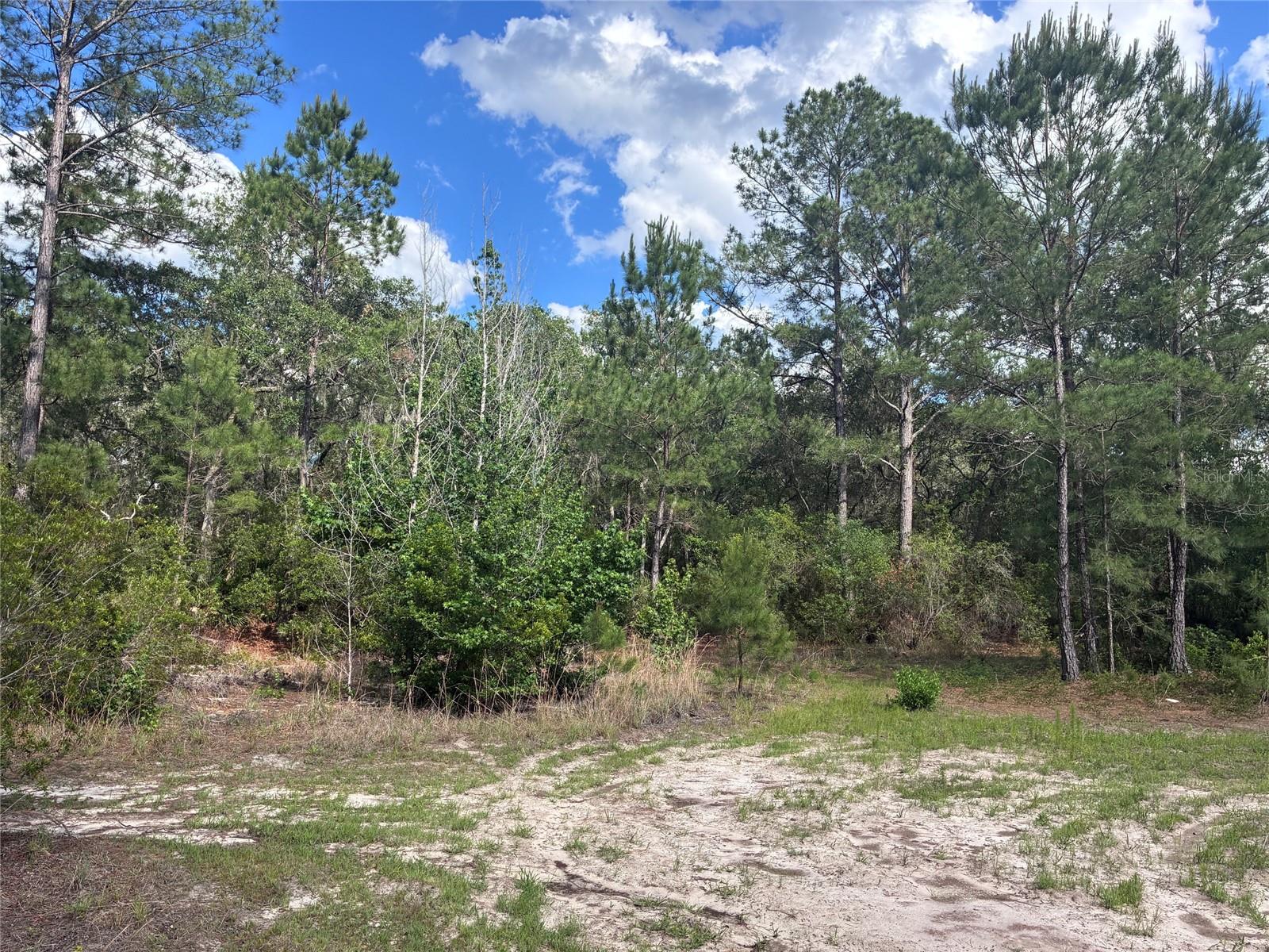 16464 35 Road, FL