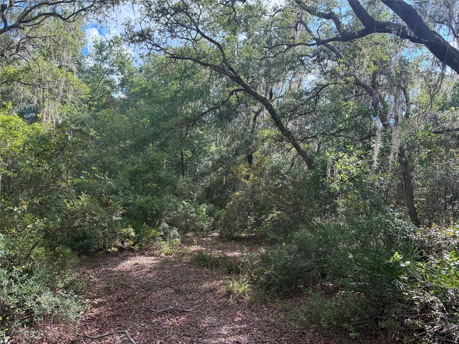 16464 35 Road, FL