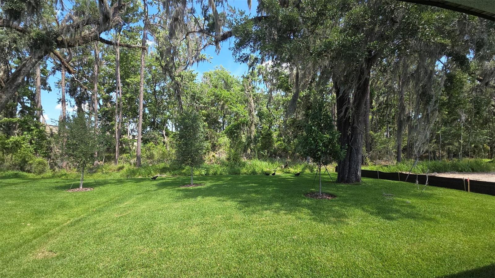 19451 Forest Garden Court, FL