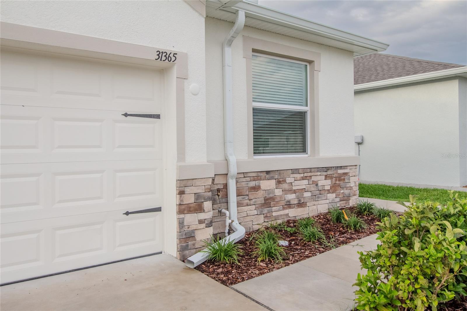 31365 Paper Birch Street, FL