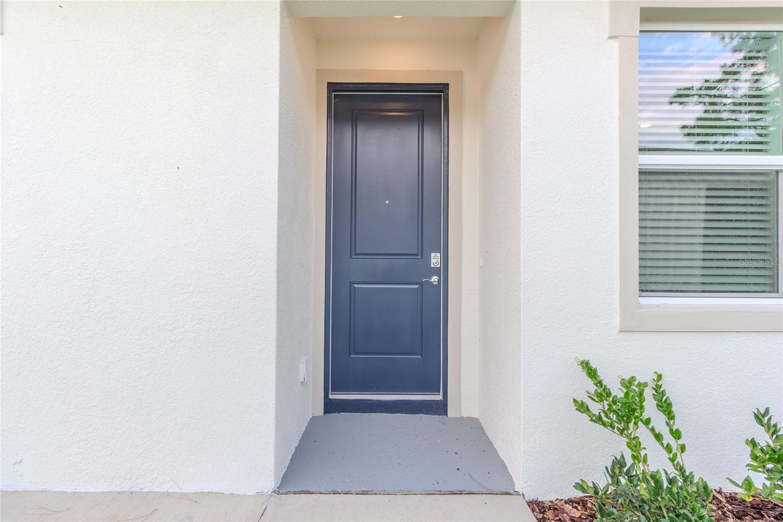 31365 Paper Birch Street, FL