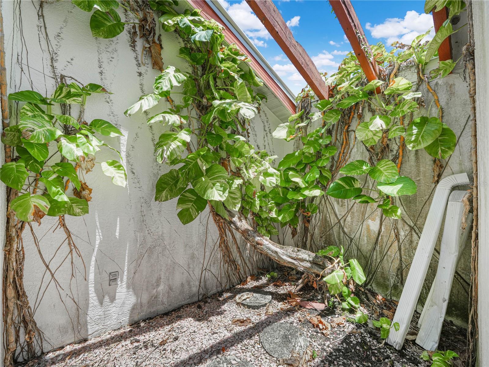 262 George Road, FL