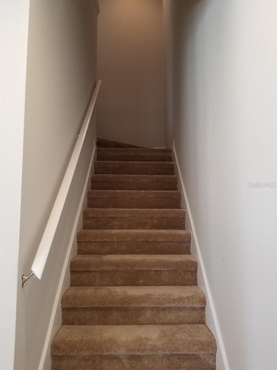9101 Camden Gardens Street, FL