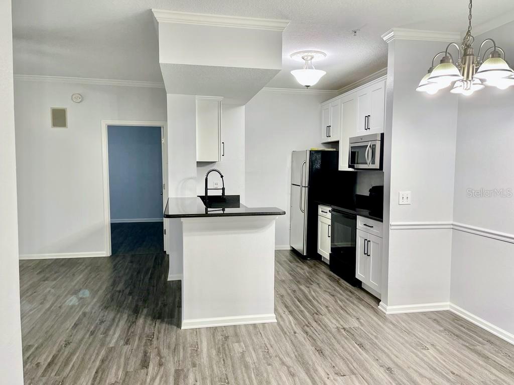 14316 Fredricksburg Drive, FL