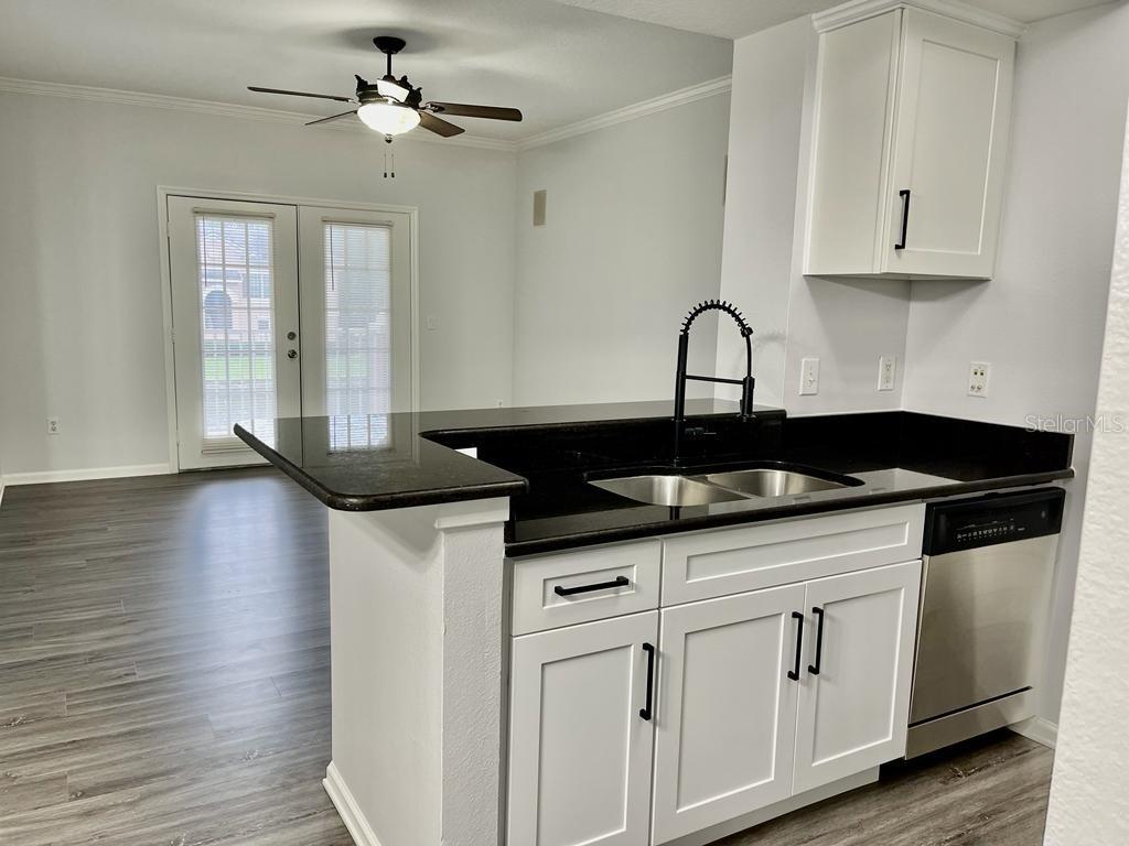 14316 Fredricksburg Drive, FL