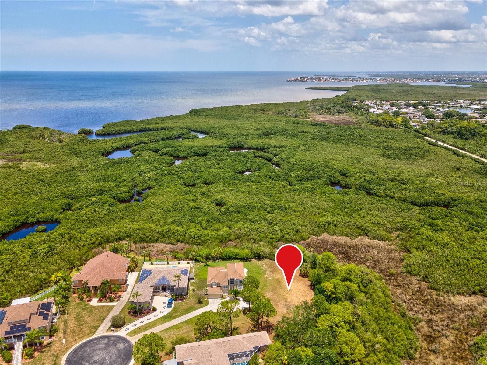 3046 Sheppards Crook Ct, FL