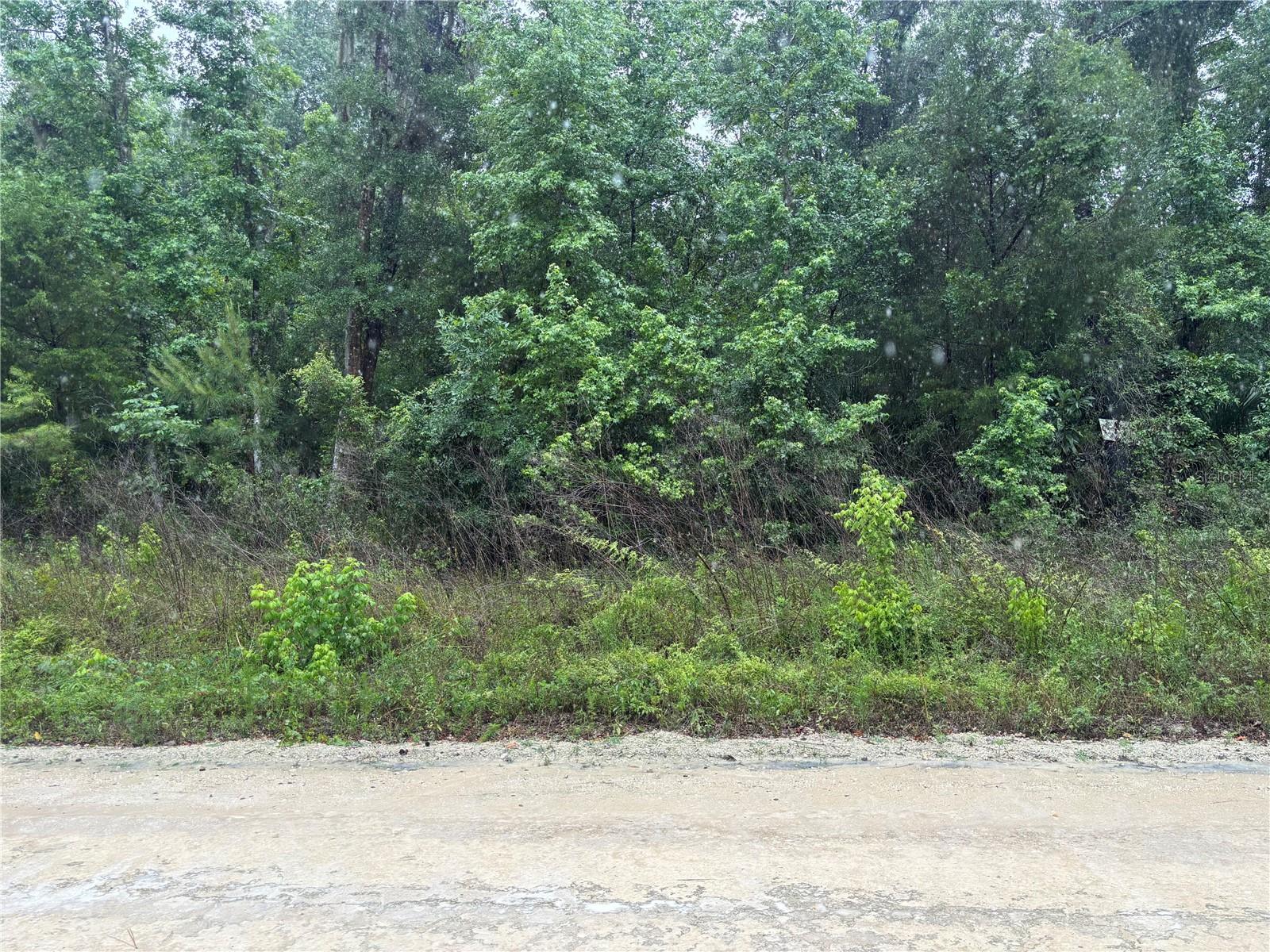 0000 7th Lane, FL