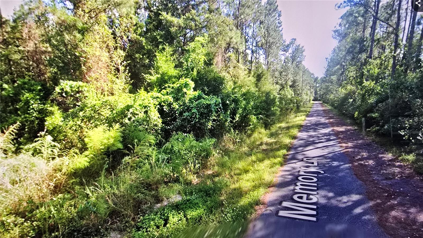 00 Memory Lane, FL