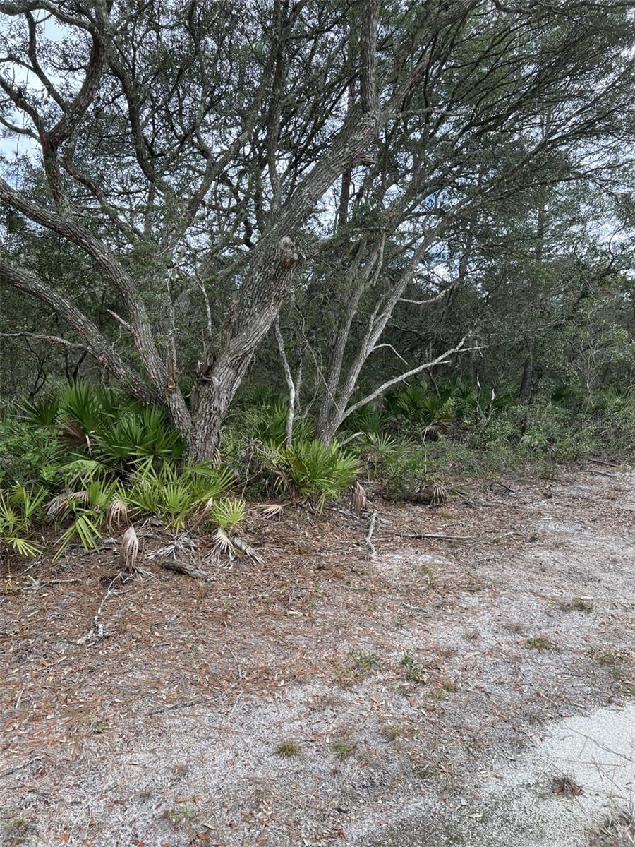 0 144 Court, FL