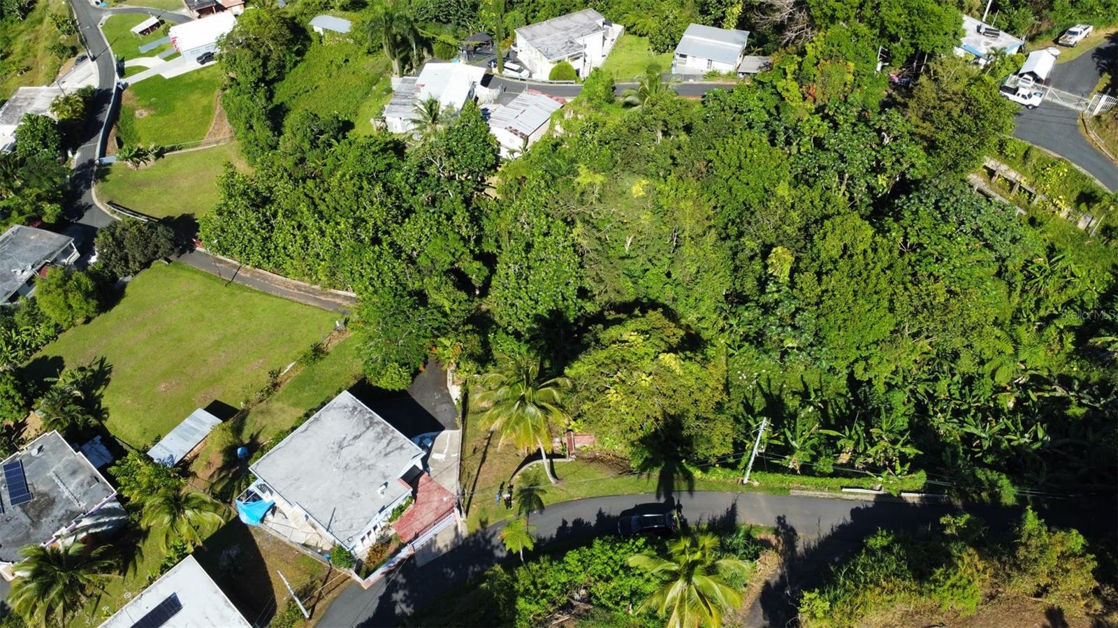 Bo. Guaraguao Sector Sanchez Mulero, PR