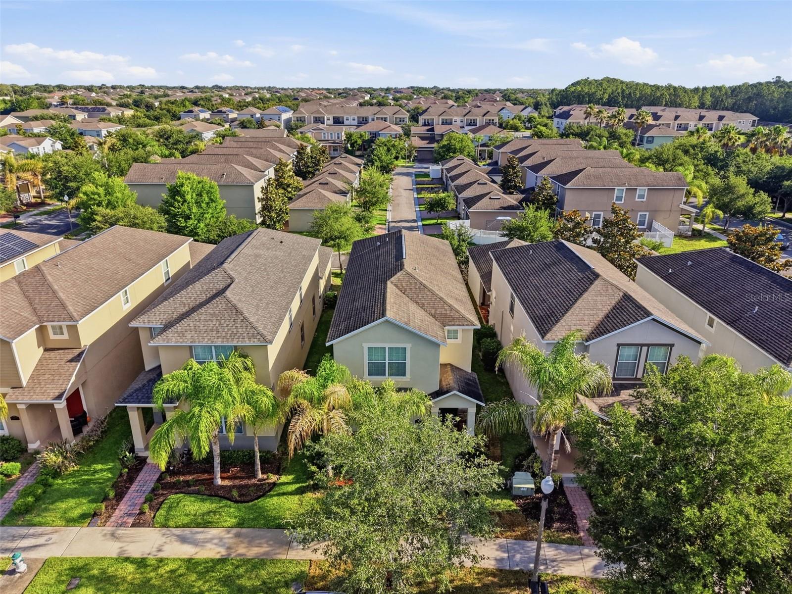 15025 Evergreen Oak Loop, FL