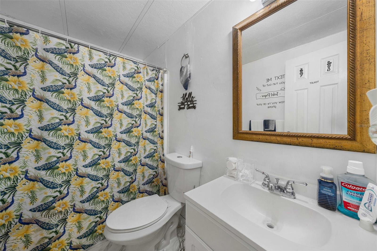 3442 Dew Berry Avenue, FL