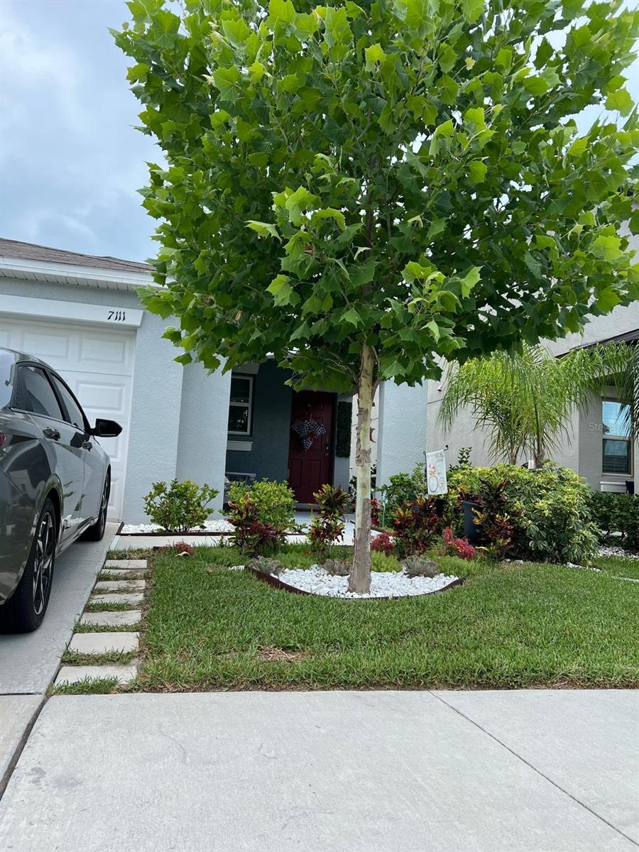 7111 Amelia Cove Court, FL
