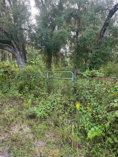 104 Floradandy Road, FL
