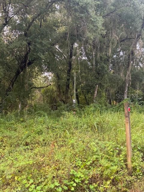 104 Floradandy Road, FL