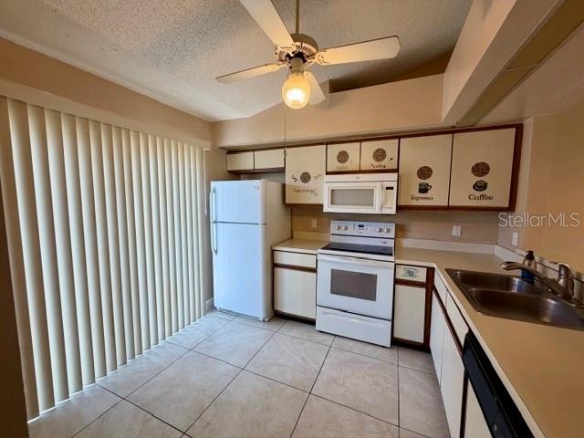 3204 Cranes Nest Lane, FL