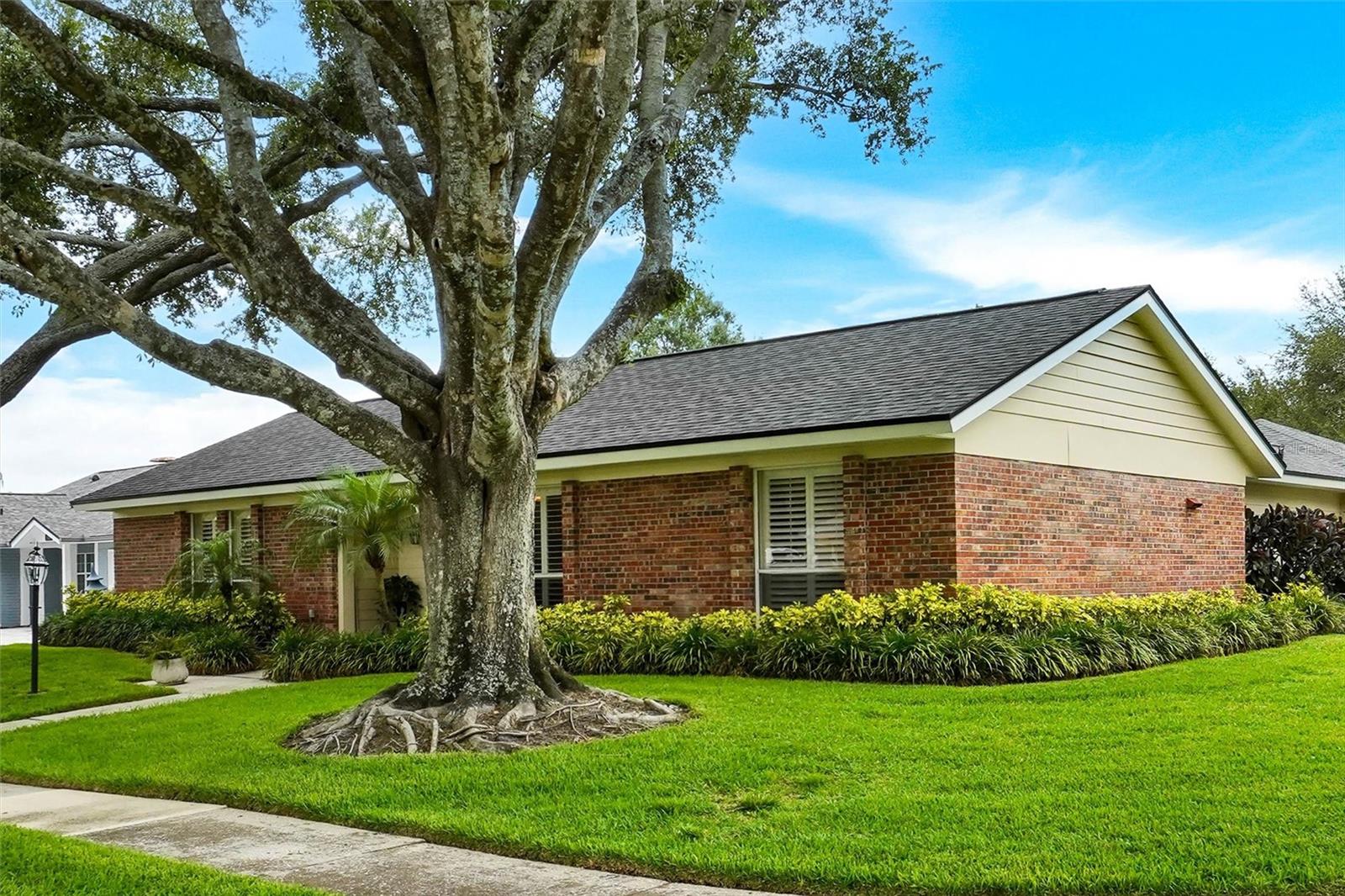 11816 Lipsey Road, FL