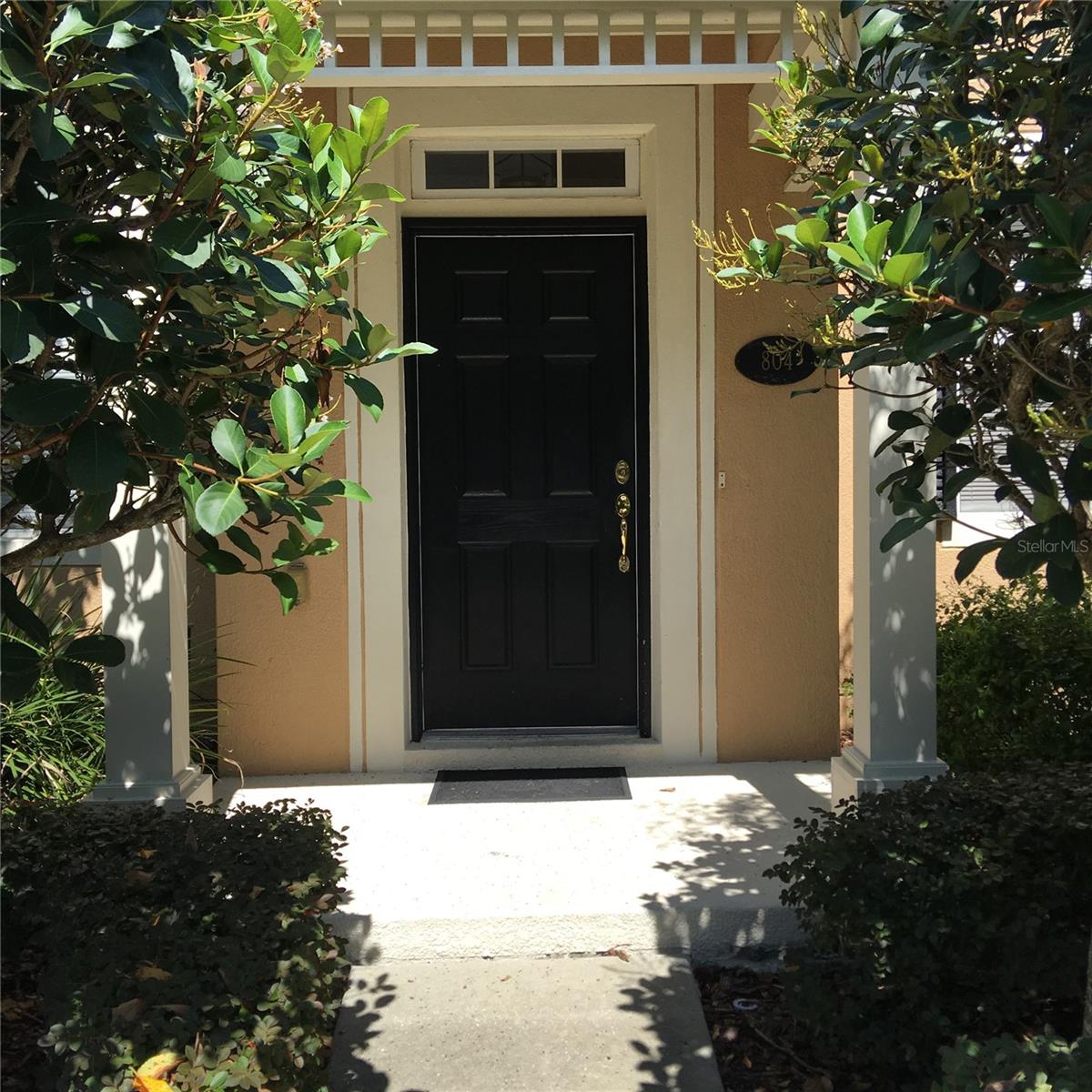 804 Carlyle Lane, FL