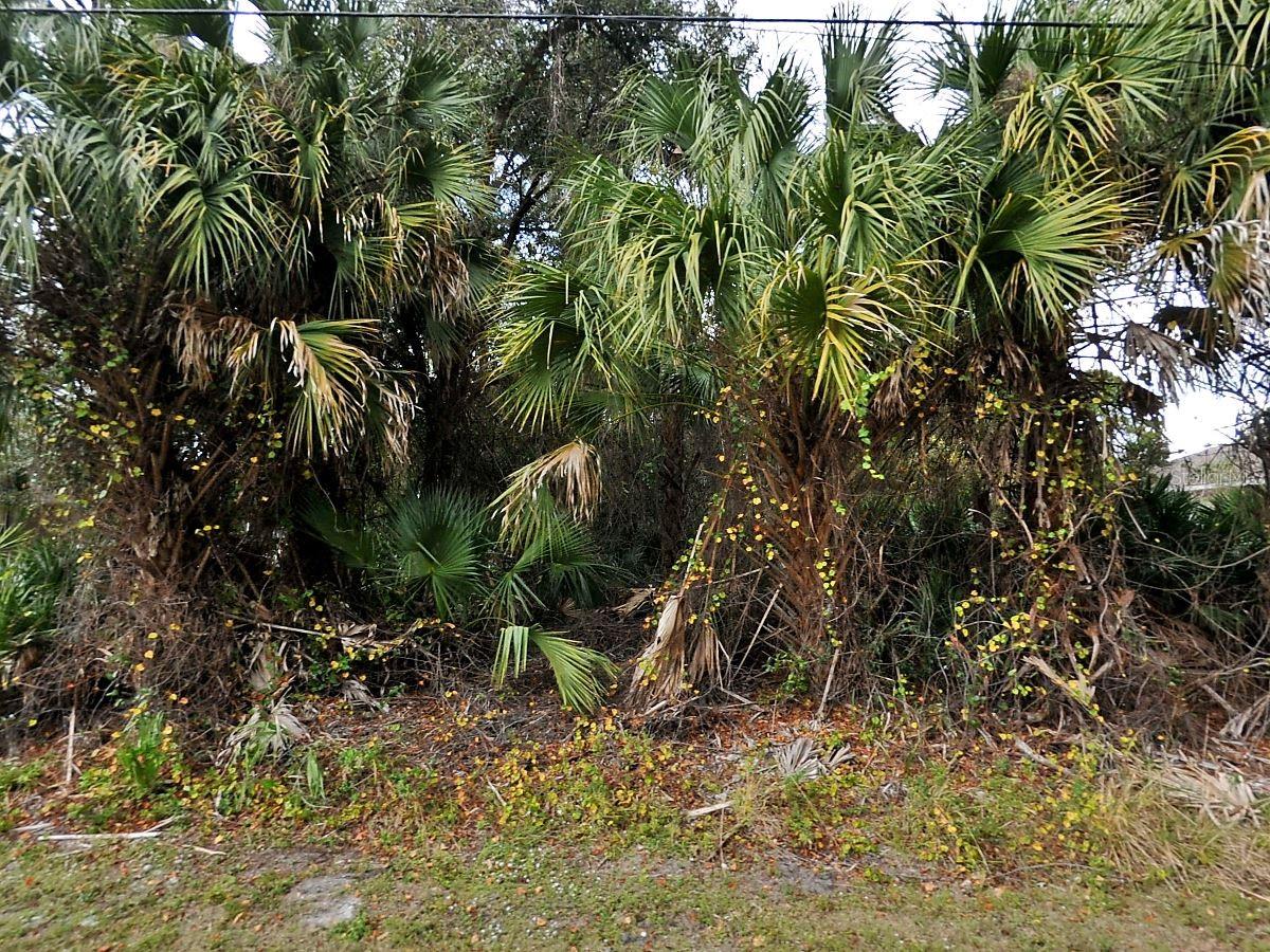 Julia Terrace, FL