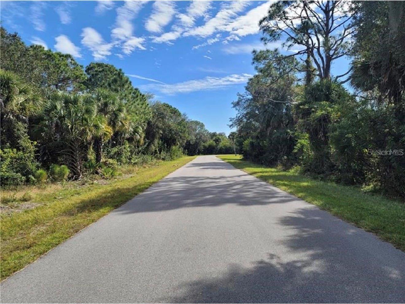 523 Mcdill Drive, FL