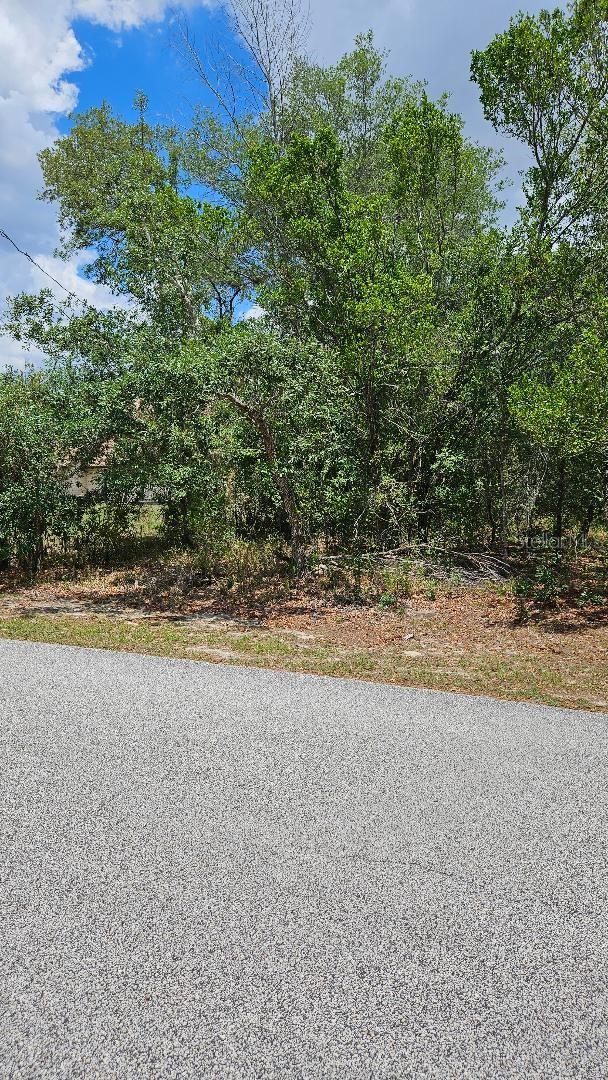 BROOKSVILLE, FL