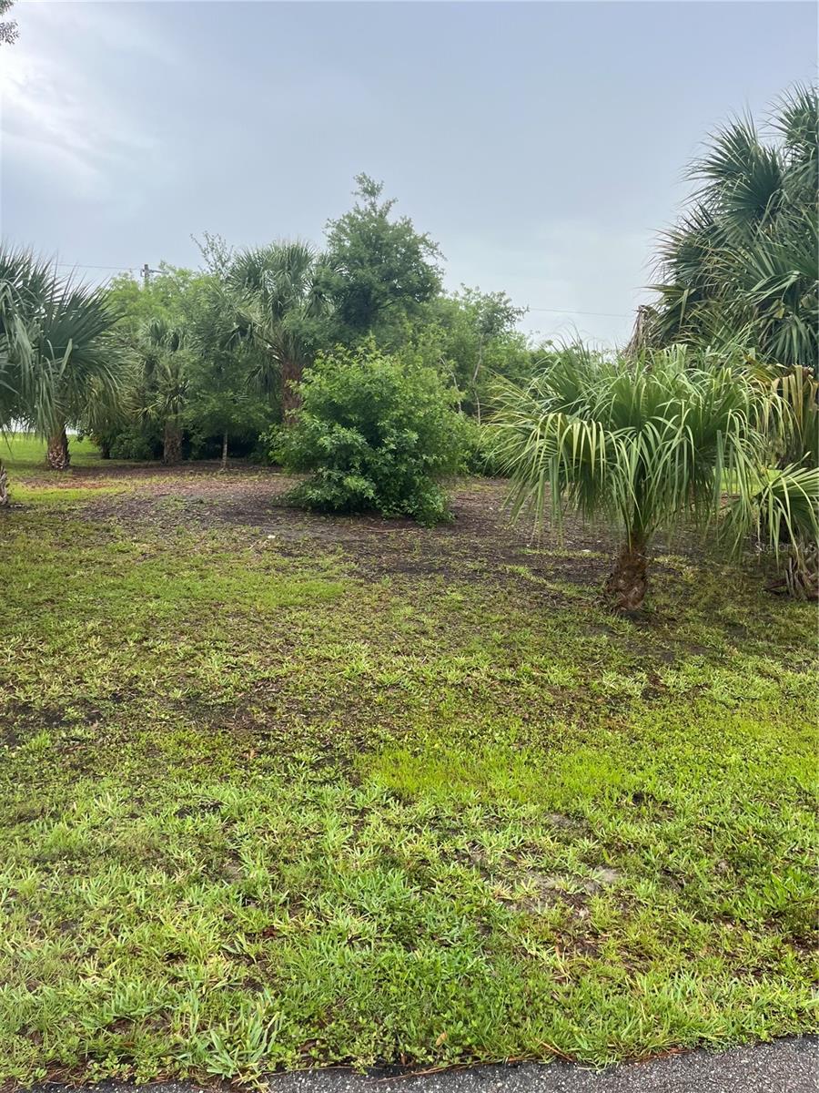 23084 August Avenue, FL