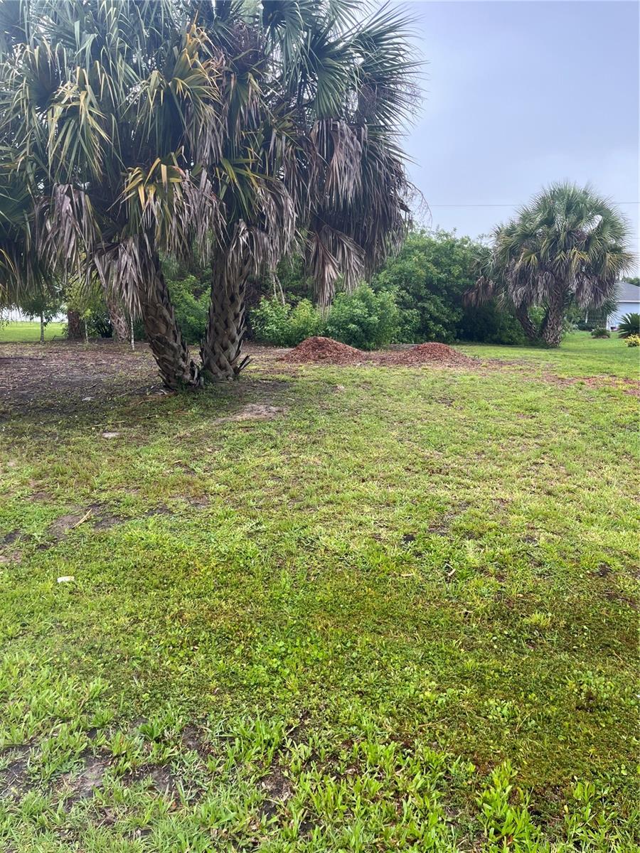 23084 August Avenue, FL