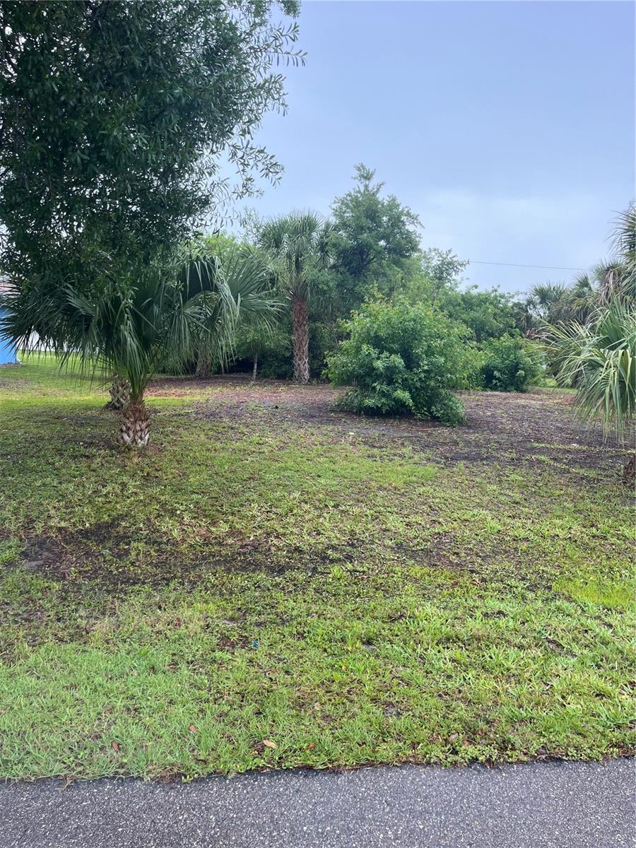 23084 August Avenue, FL