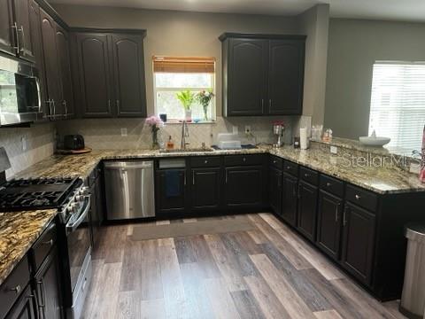 6528 Carrington Sky Drive, FL