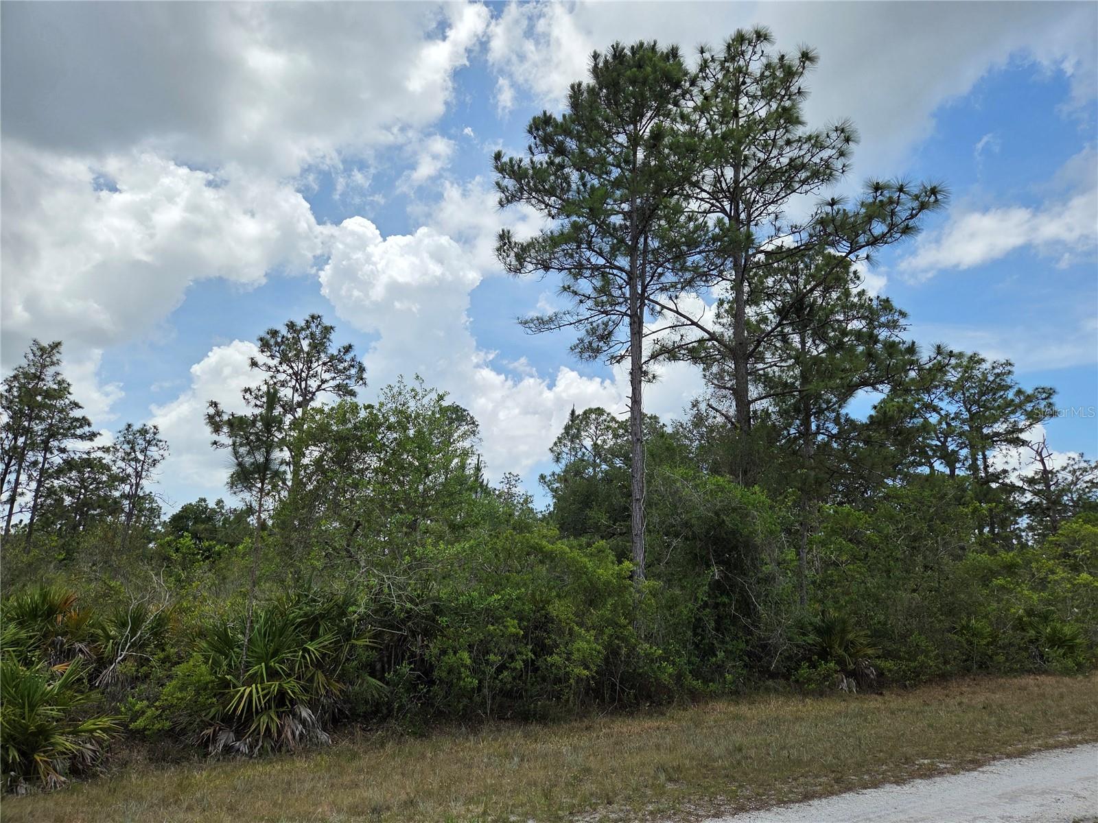915 Laguna Dr, FL