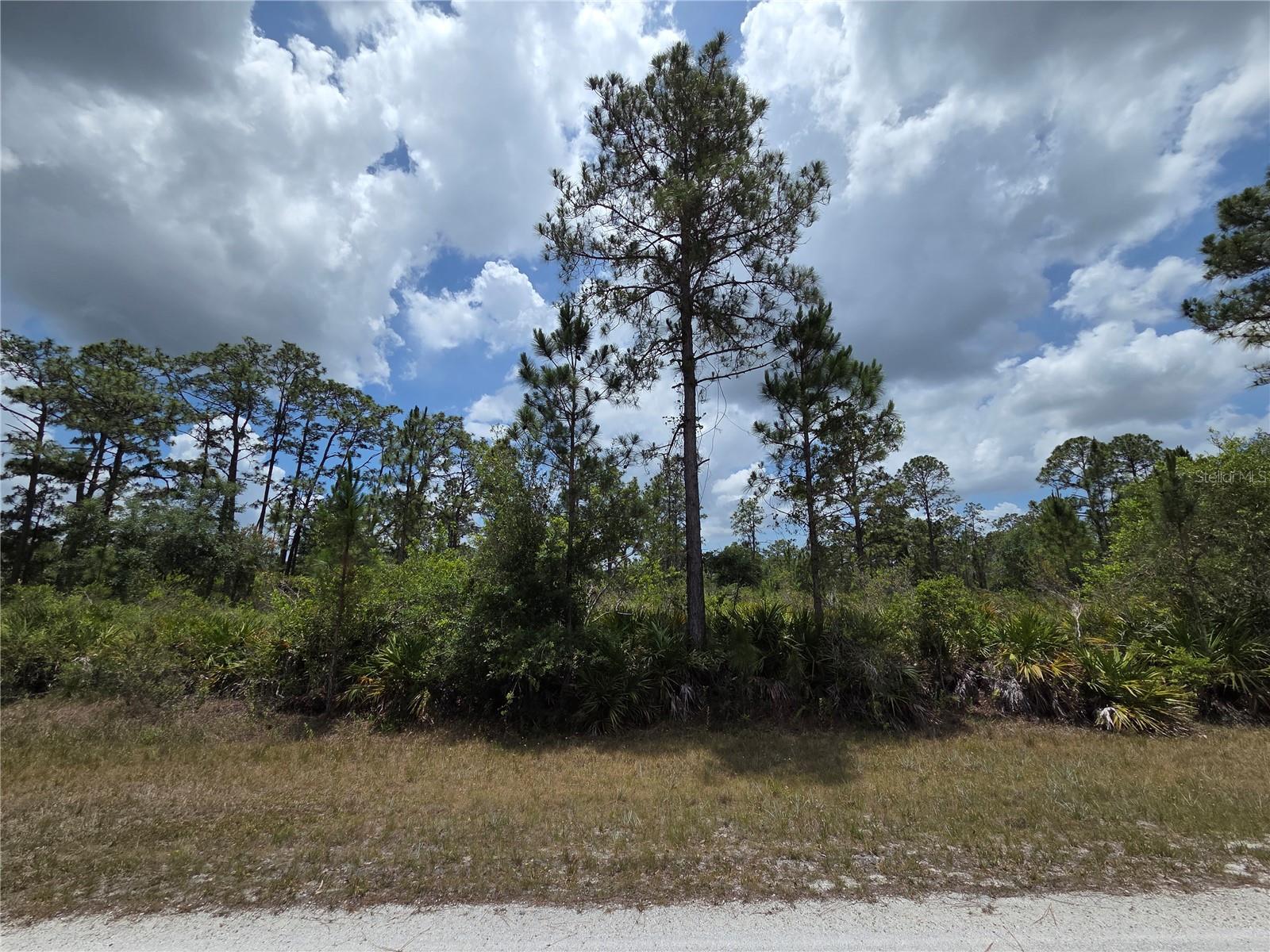 915 Laguna Dr, FL