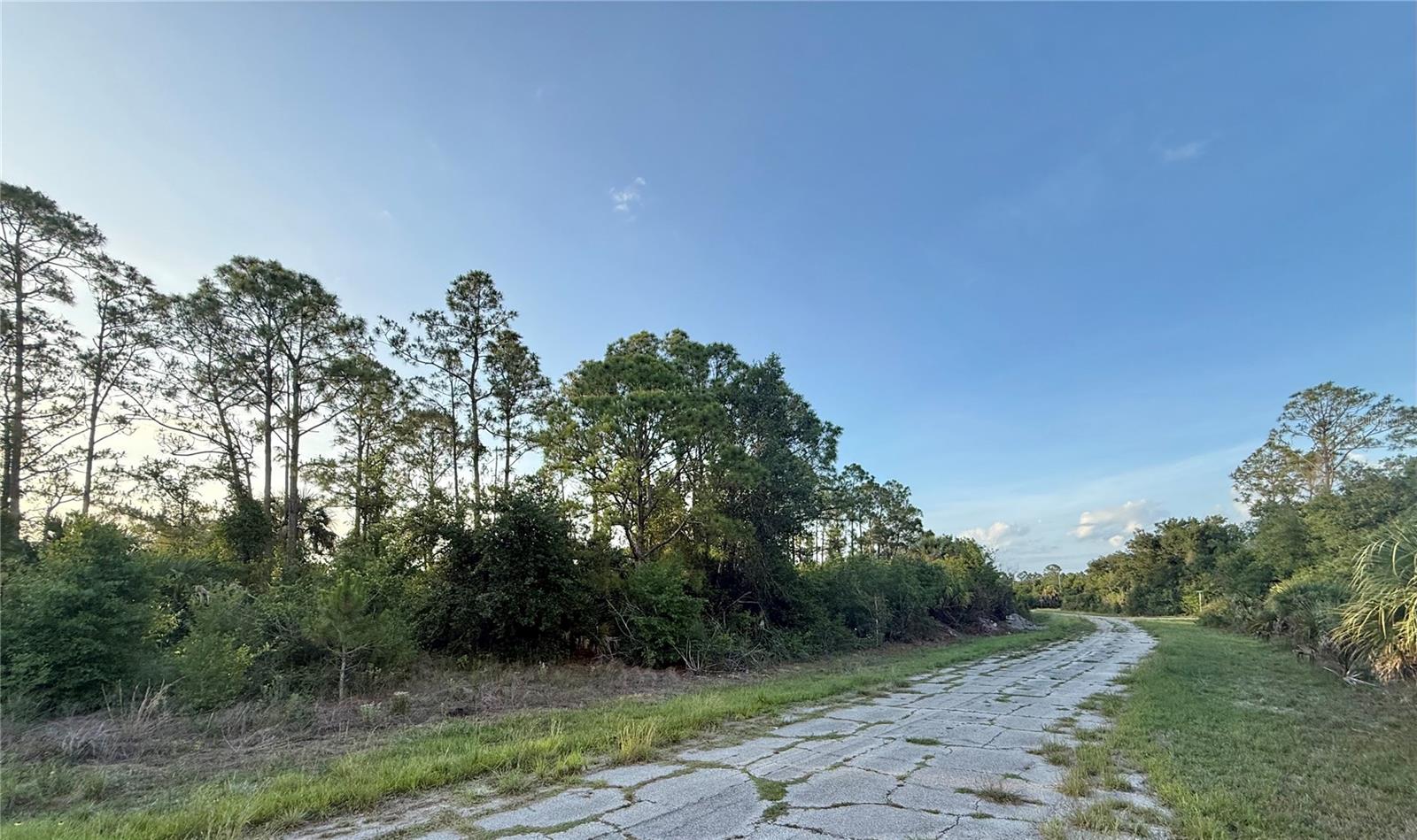Lot 24 Hinshaw Avenue, FL