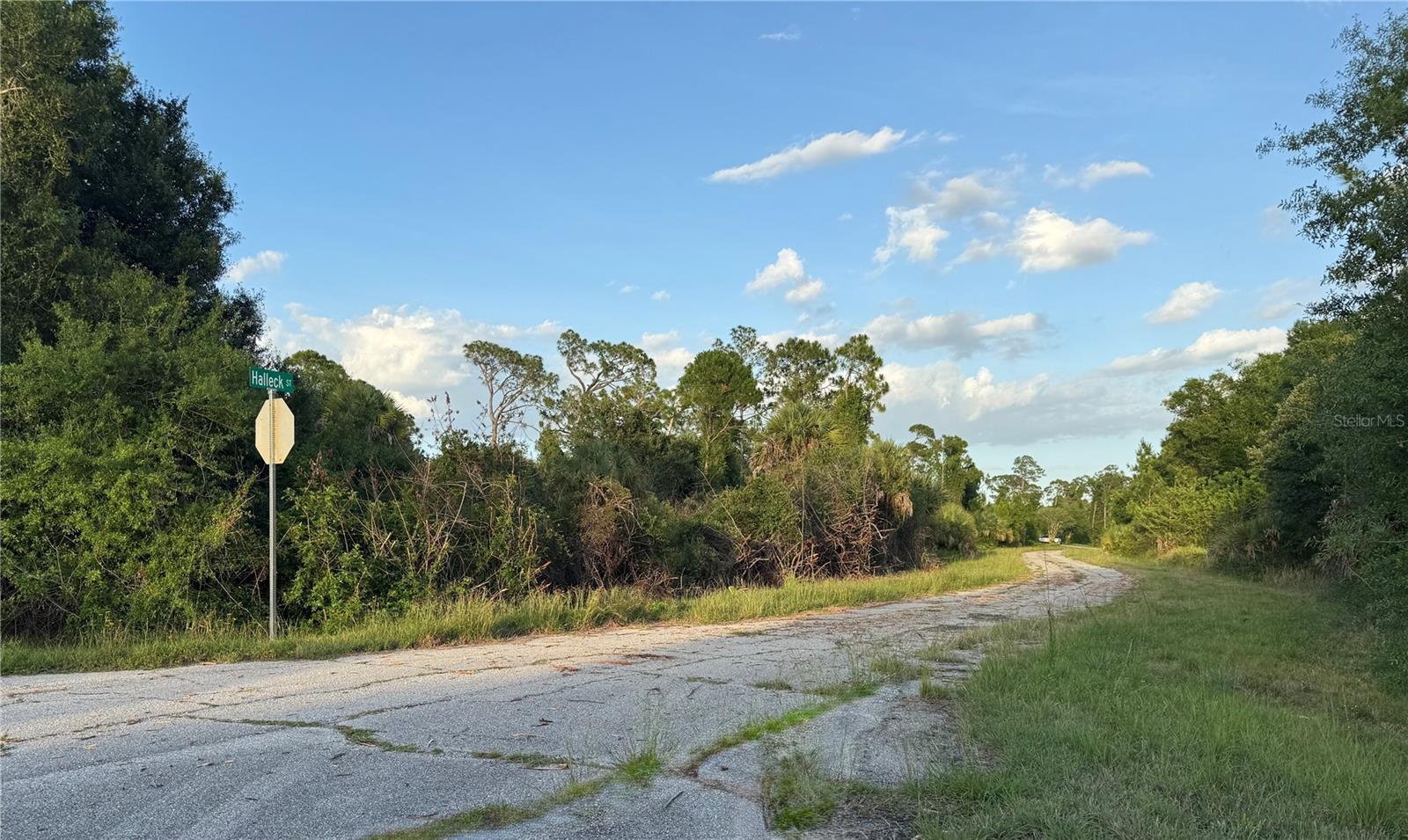 Lot 24 Hinshaw Avenue, FL