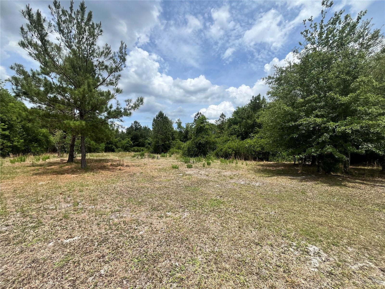 0 County Road 229, FL
