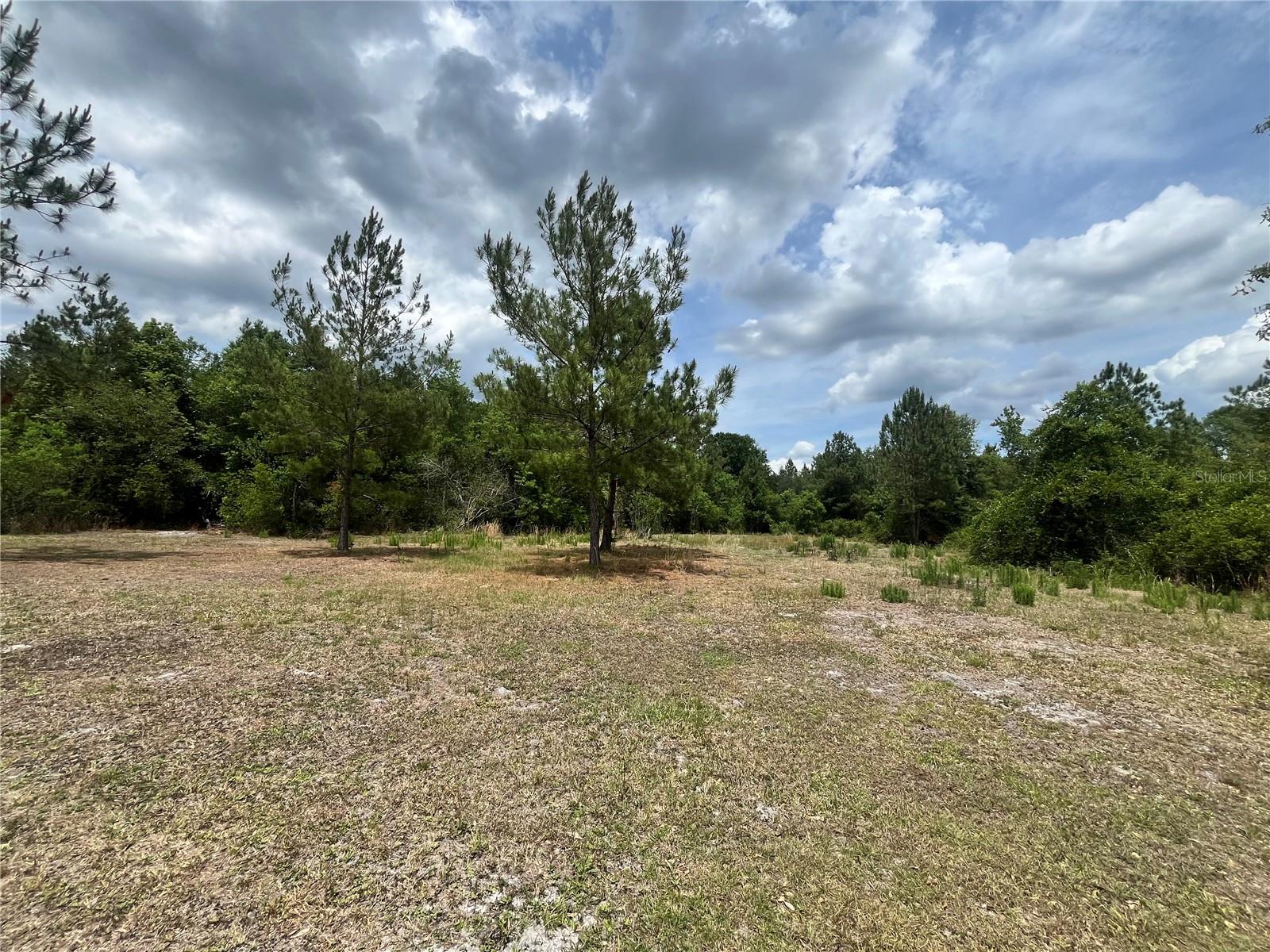 0 County Road 229, FL