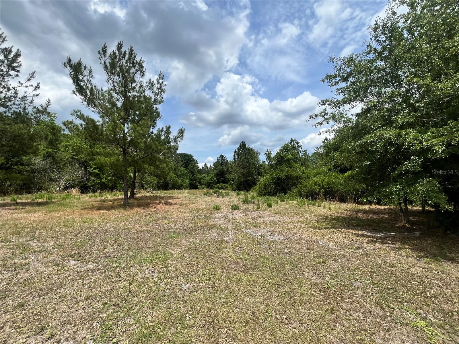 0 County Road 229, FL