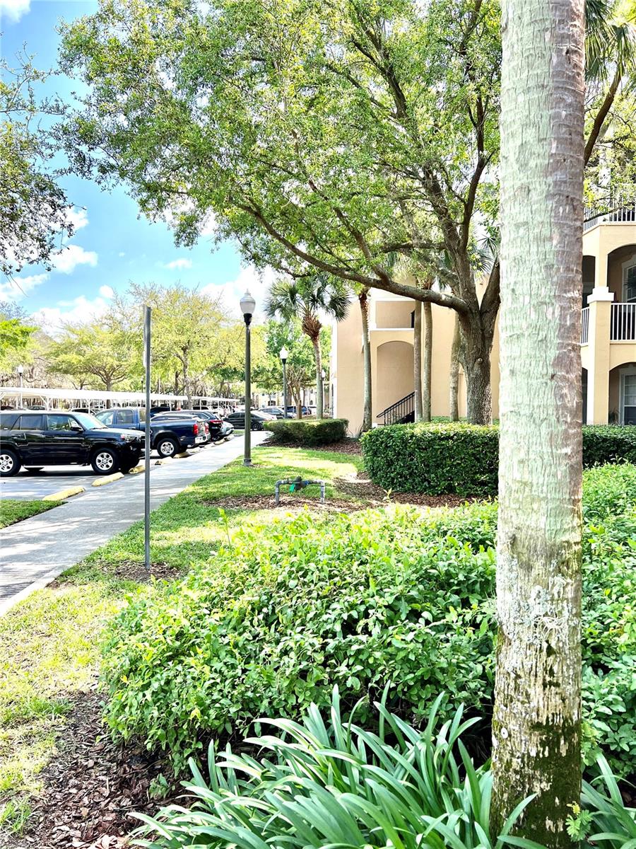 6214 Stevenson Drive, FL