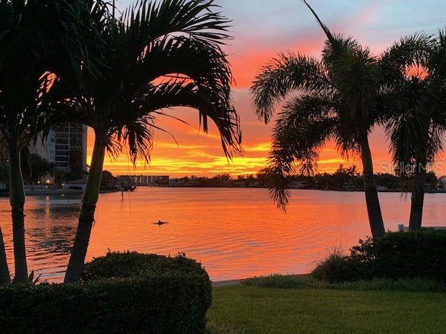 1201 81st Street, FL