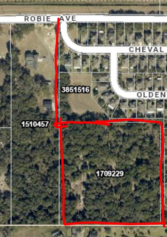 3016 Robie Avenue, FL