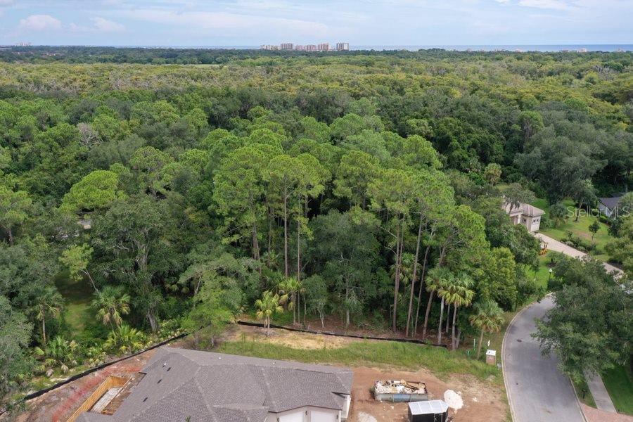 165 Willow Oak Way, FL