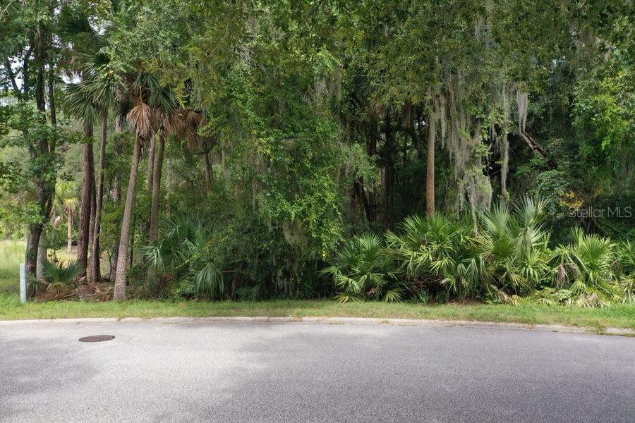 165 Willow Oak Way, FL