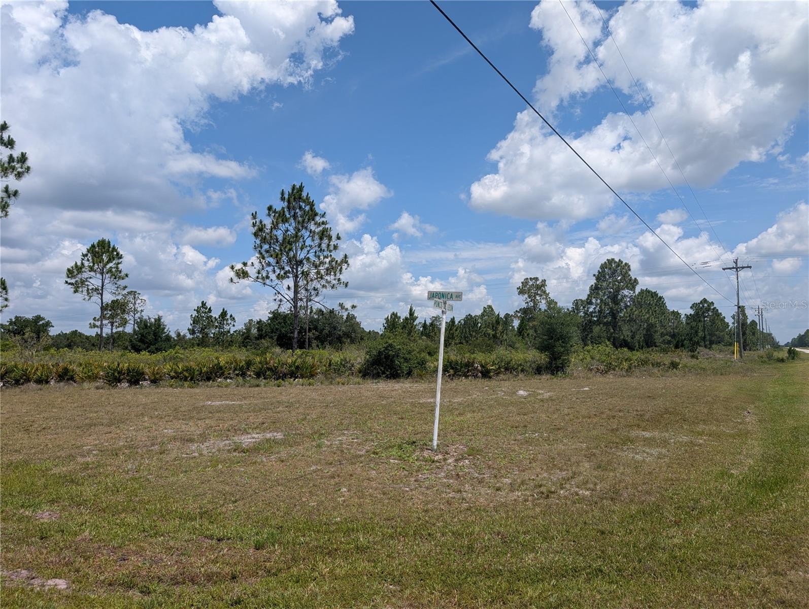 402 Japonica Drive, FL