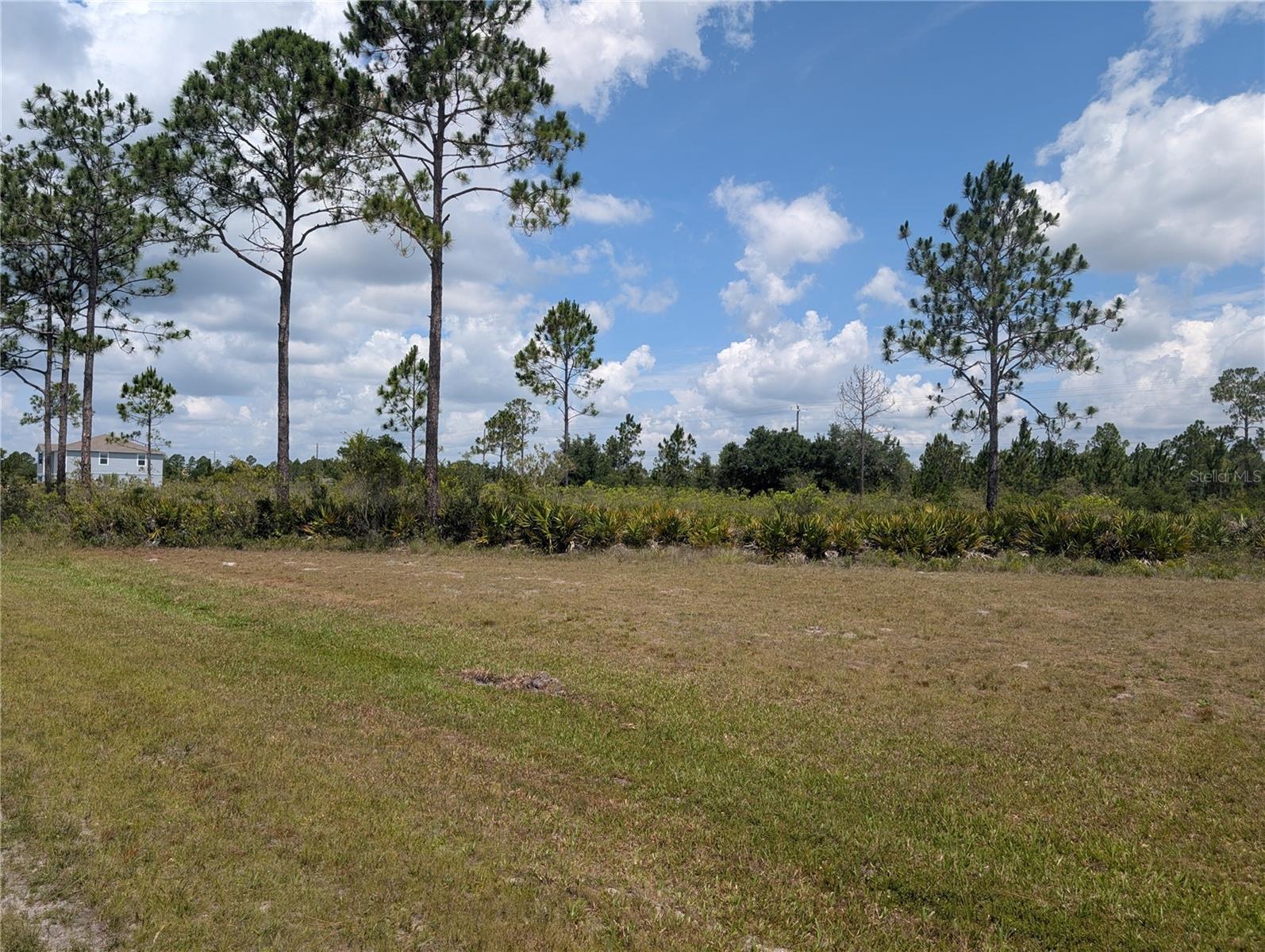 402 Japonica Drive, FL