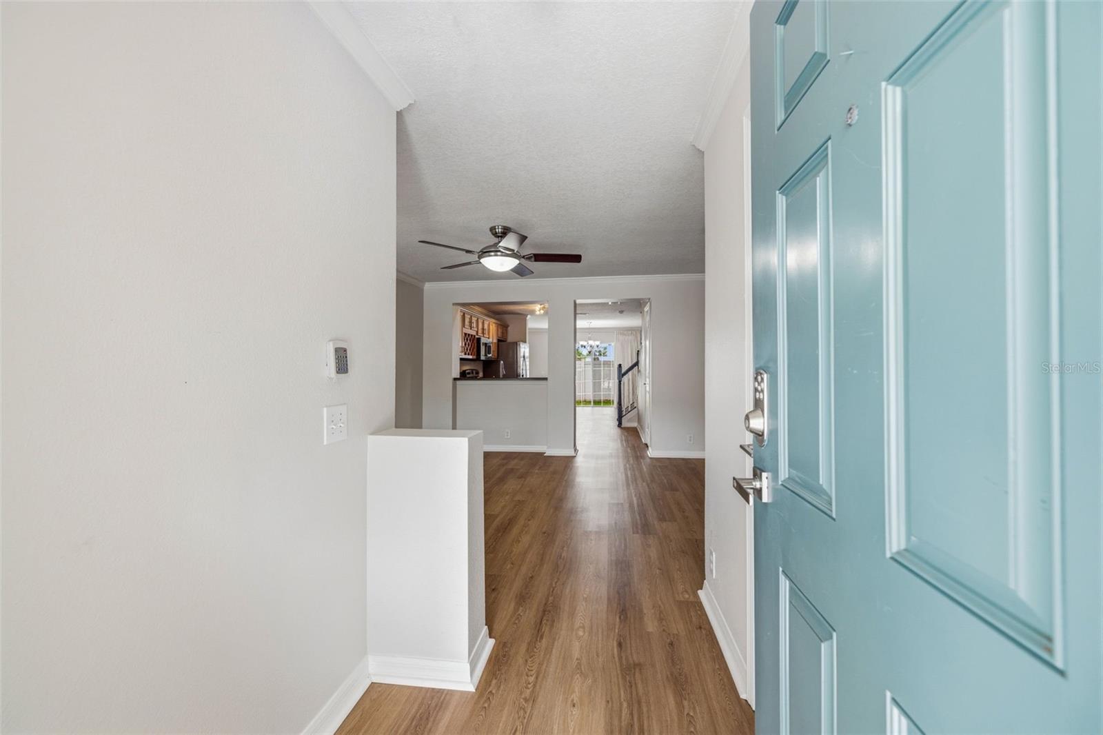 2565 Hidden Cove Lane, FL