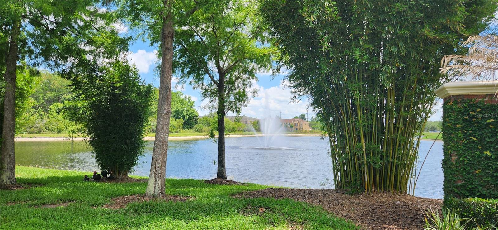 16229 Old Ash Loop, FL