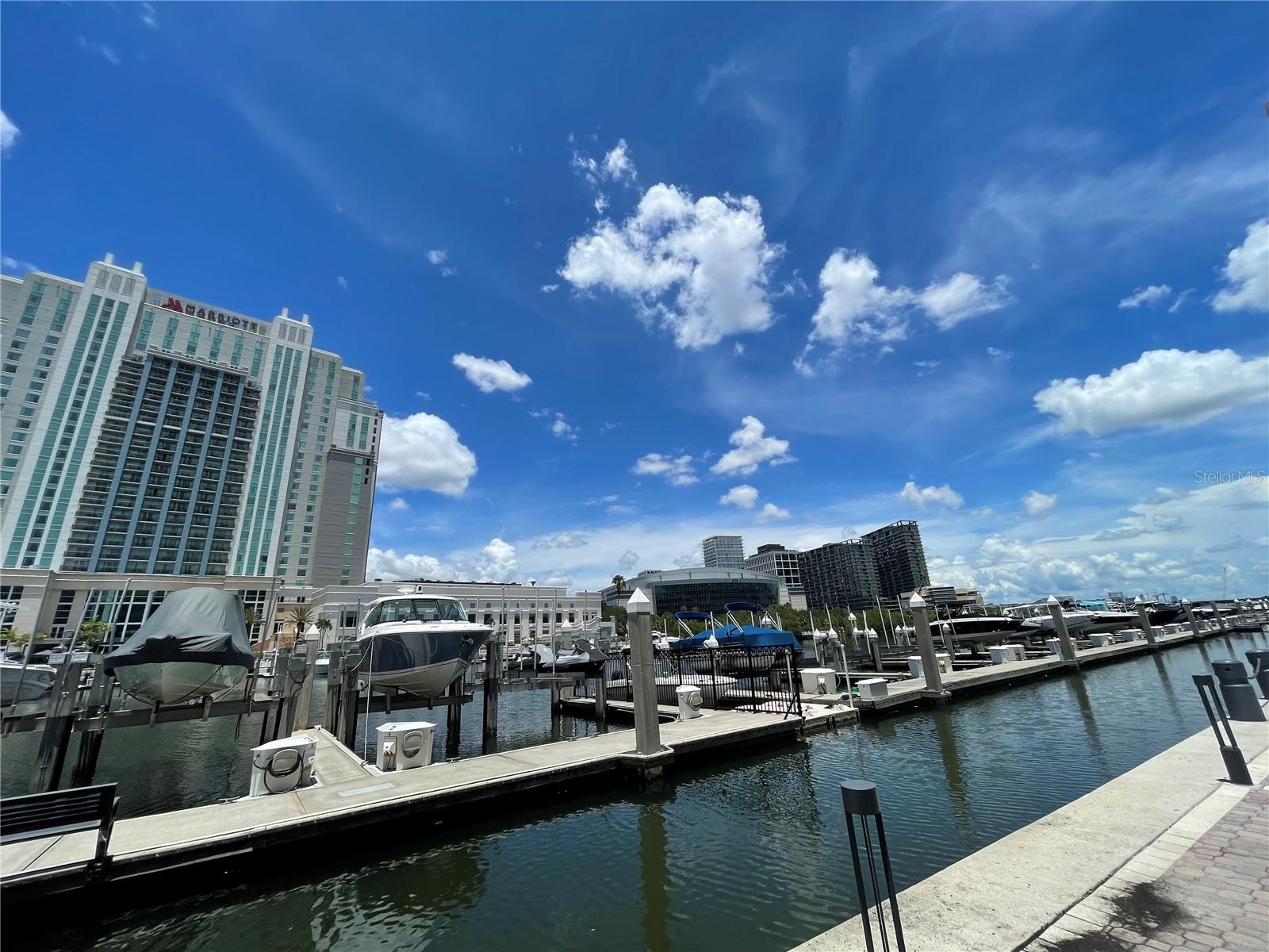 700 Harbour Island Boulevard, FL